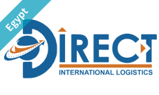 Direct International Logistics