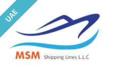 MSM SHIPPING LINES LLC