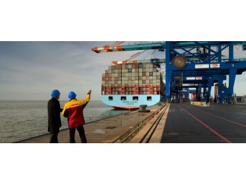 Ocean Freight Export &Import